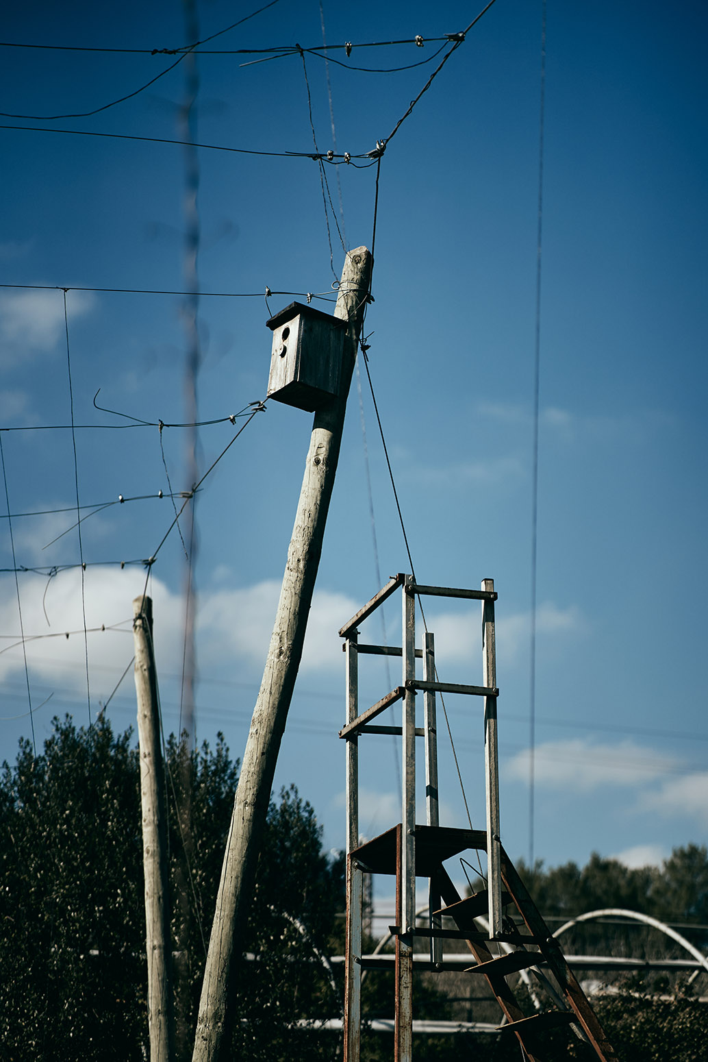 Aquest es el peu de foto del senyor amb les mans a la cara possat a Texto alternativo