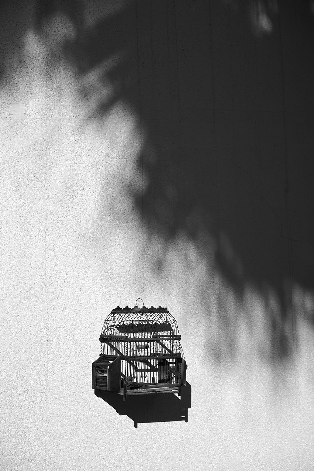 Aquest es el peu de foto del senyor amb les mans a la cara possat a Texto alternativo