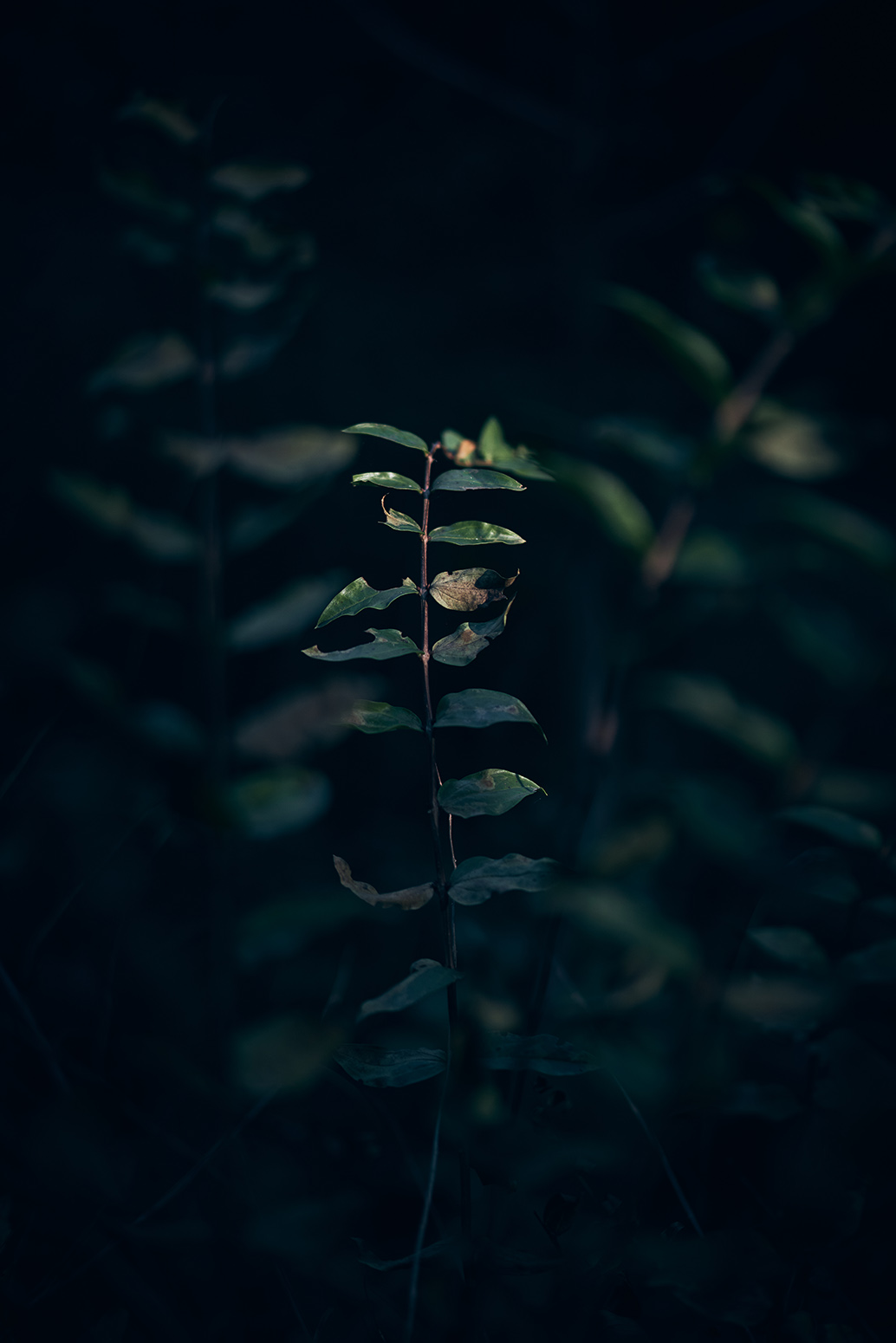 Aquest es el peu de foto del senyor amb les mans a la cara possat a Texto alternativo