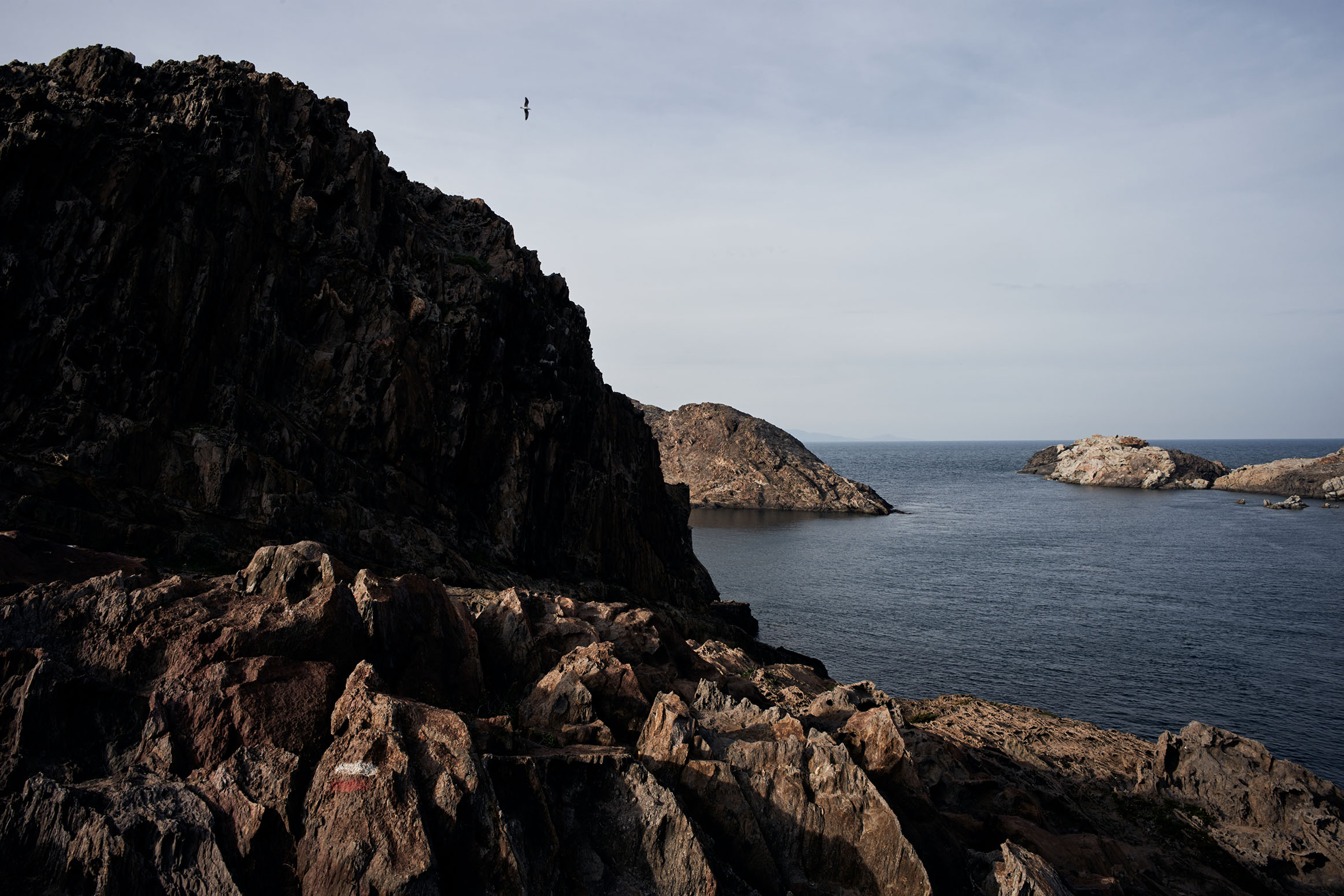 Aquest es el peu de foto del senyor amb les mans a la cara possat a Texto alternativo